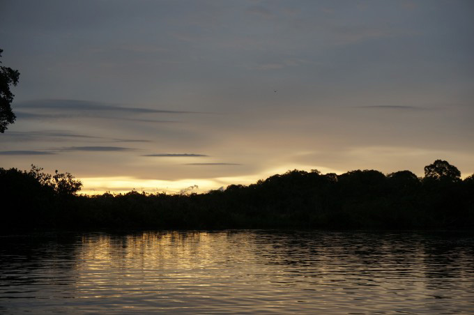 KK City+Mangrove+Fireflies Cruise